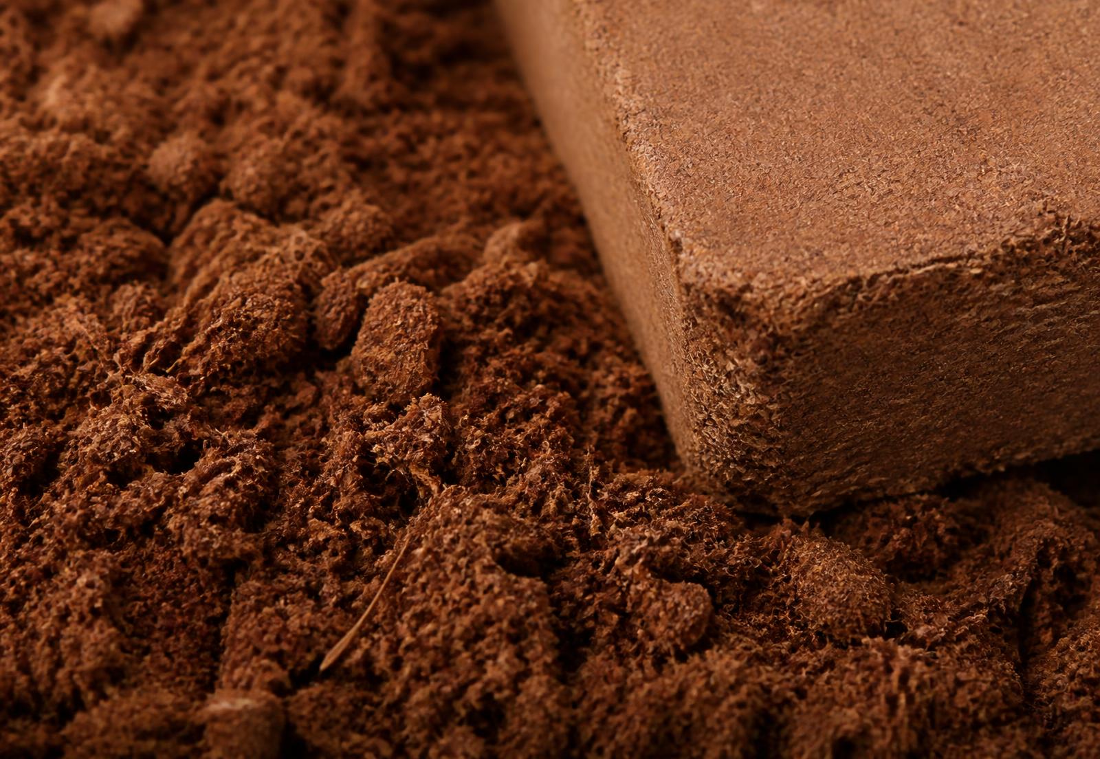 Coco peat granules beside a compressed coco peat block